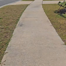 Driveway-Pressure-Washing-in-Lake-Alfred-FL 2