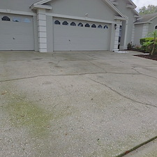 Driveway-Pressure-Washing-in-Valrico-FL-Algae-and-Mold-Removal 9