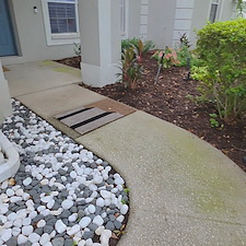 Driveway-Pressure-Washing-in-Valrico-FL-Algae-and-Mold-Removal 5