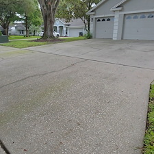 Driveway-Pressure-Washing-in-Valrico-FL-Algae-and-Mold-Removal 1