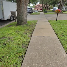 Driveway-Pressure-Washing-in-Valrico-FL-Algae-and-Mold-Removal 2