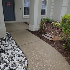 Driveway-Pressure-Washing-in-Valrico-FL-Algae-and-Mold-Removal 4