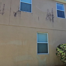 House-Wash-in-Plant-City-FL 4