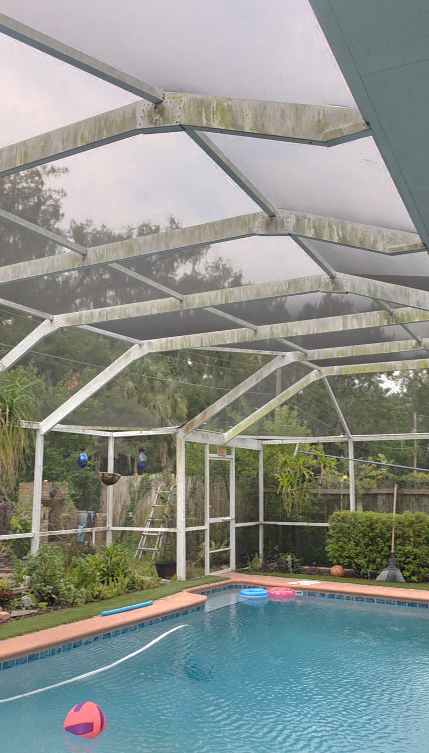 Lakeland Pool Cage Cleaning: Tackling Years of Algae and Mold