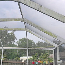 Lakeland-Pool-Cage-Cleaning-Tackling-Years-of-Algae-and-Mold 5