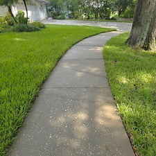 Valrico-Driveway-Cleaning-Pressure-Washing-Away-Years-of-Algae 8