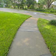 Valrico-Driveway-Cleaning-Pressure-Washing-Away-Years-of-Algae 6