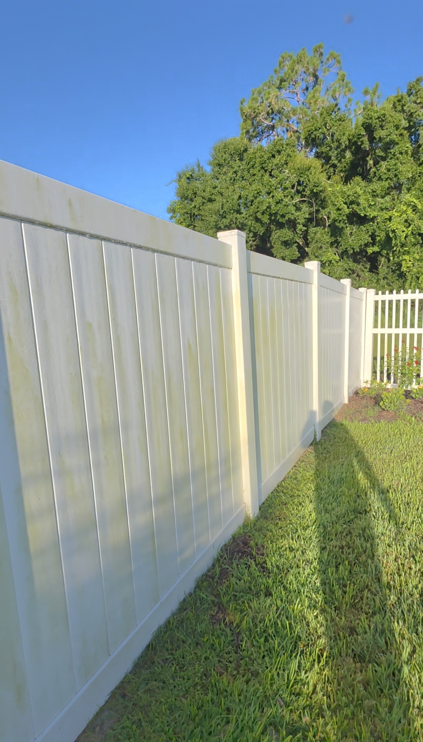 Winter Haven Fence Cleaning | Thompson Pressure Washing