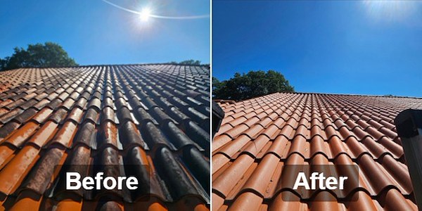 Roof Cleaning Thumbnail