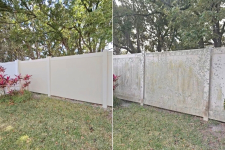 Fence Cleaning